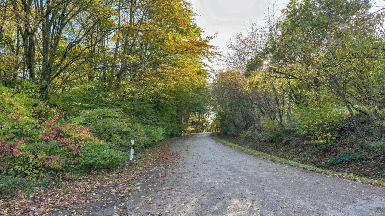 AreaSummer20KM AreaSummer20KM